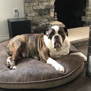 Meet your Posher, Vincent